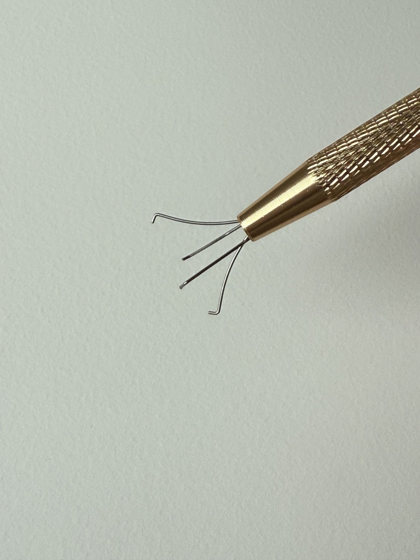 【T001】sponge catcher